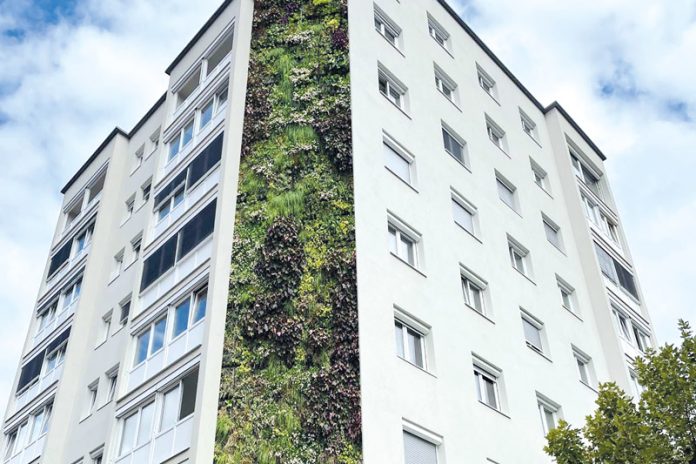 Die Baugenossenschaft „meine heimat“ setzt auf nachhaltiges, grünes Wohnen. Am Bild eine Visualisierung: So könnte eine Fassadenbegrünung in der Villacher Innenstadt aussehen.Fotos: meine heimat