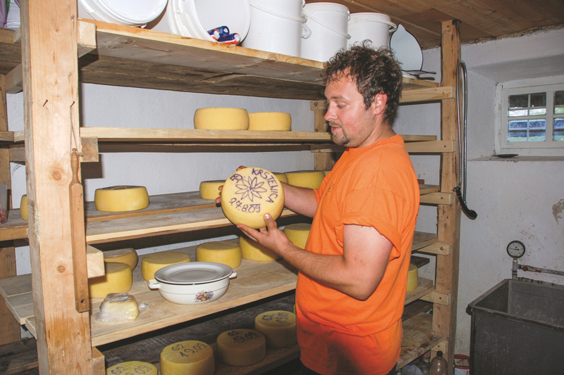 Im Wocheiner Tal kann am „Käseweg“ hautnah die Tradition der Sennerei und Käserei kennengelernt werden.
