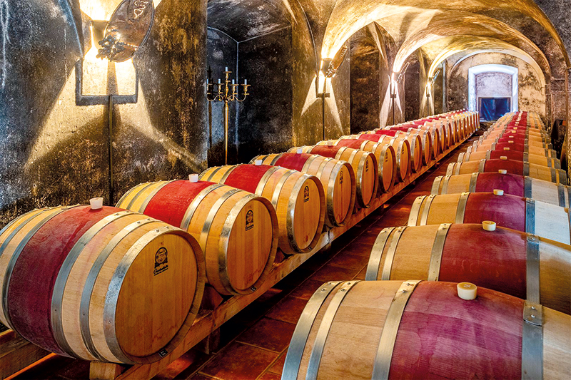 Der uralte Weinkeller des Weingutes Krško beherbergt die erlesensten Tropfen, darunter auch der beliebte Cviček. Foto: Jani Pavlin