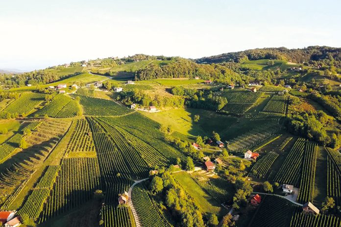 Die hügelig sanfte Region und das Weinbaugebiet Posavje eignen sich ideal zum Energietanken und Genießen erlesener Weinsorten. Foto: AKLIH