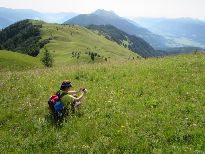 Mussen-Panorama