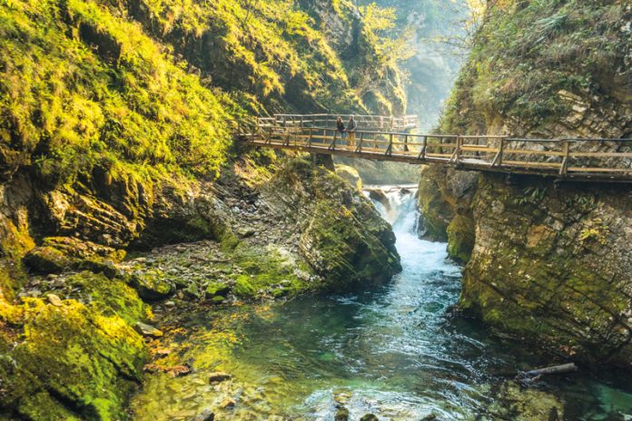 Die Vintgar-Klamm vereint Naturkraft und stille Schönheit.Foto: www.bled.si_Jost_Gantar